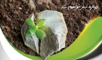 IMG_20251025_152929_222