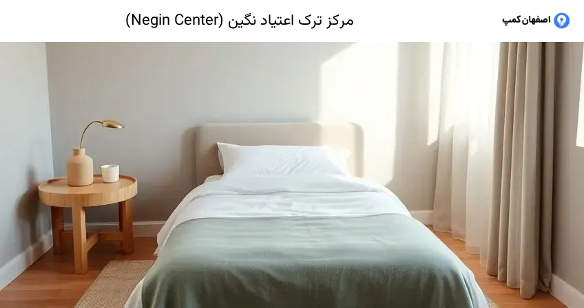 مرکز ترک اعتیاد نگین (Negin Center)