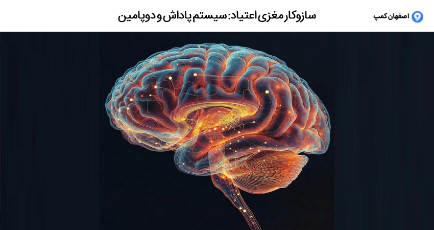 سازوکار مغزی اعتیاد: سیستم پاداش و دوپامین